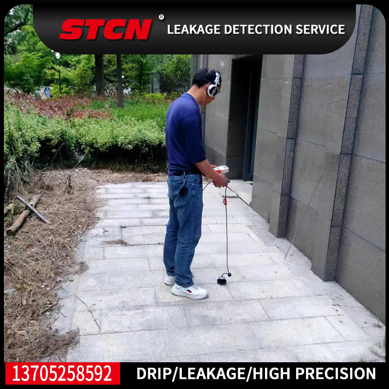 Leakage detection service